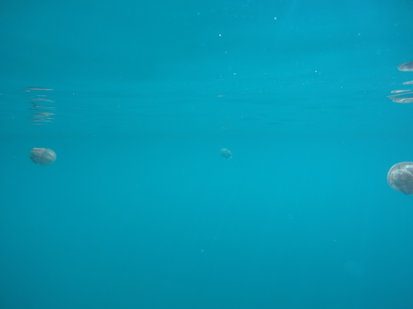 帕劳旅行攻略大全图文,帕劳旅行攻略图文大全