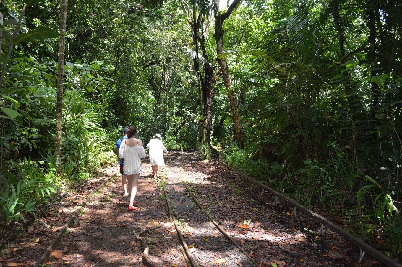 帕劳旅行攻略大全图文,帕劳旅行攻略图文大全