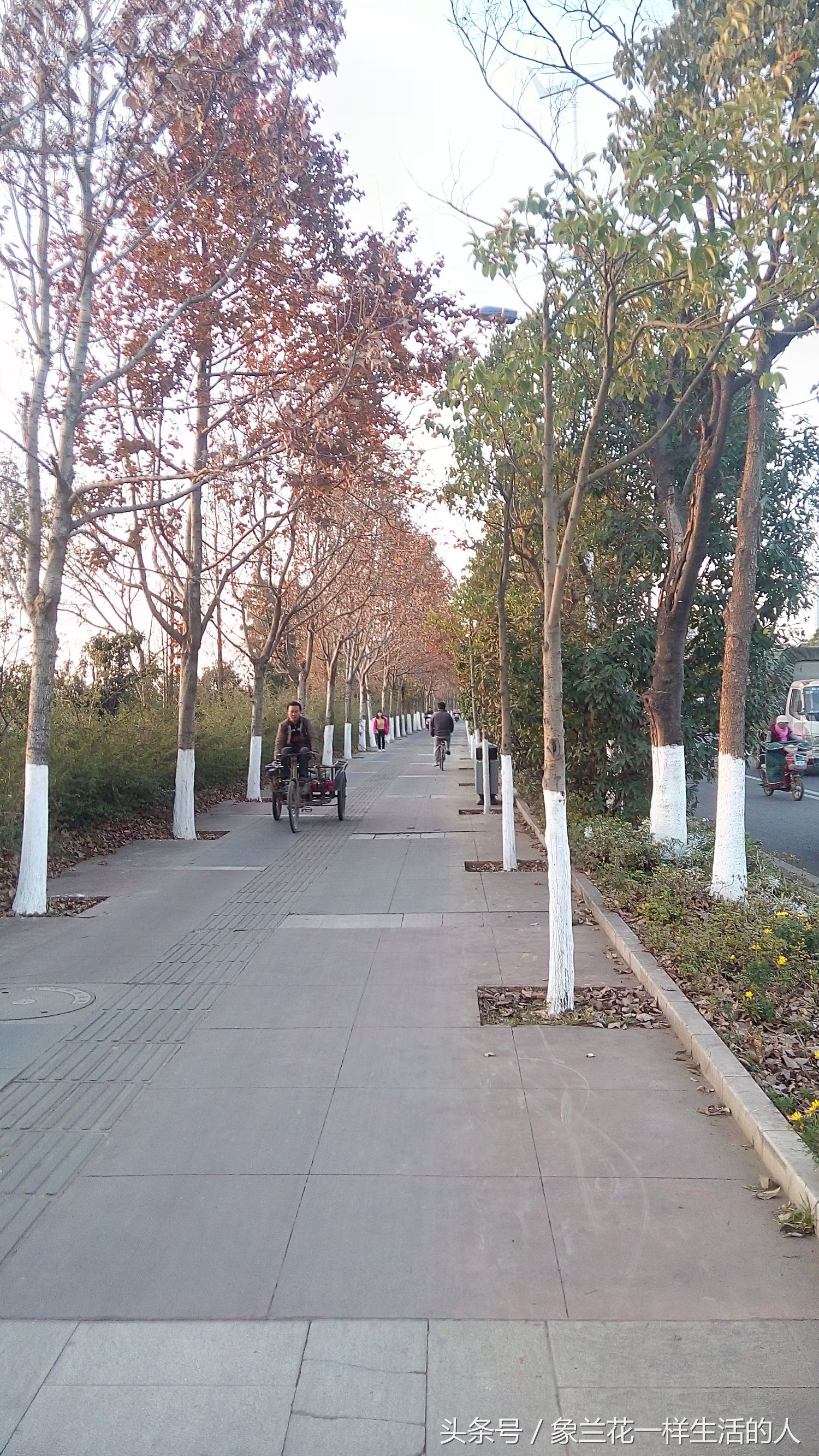 身体健康从步行开始,健康从步行开始