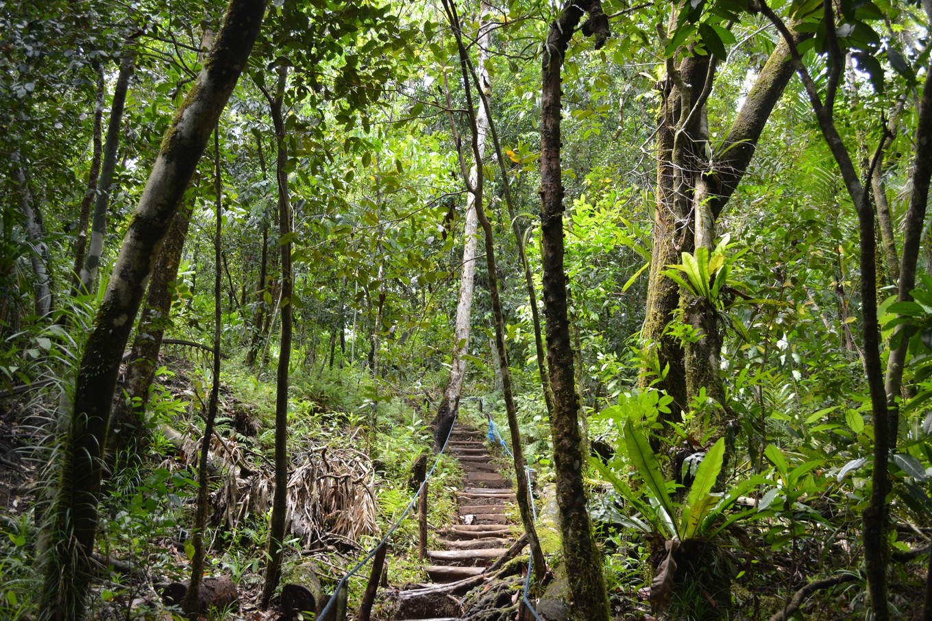 帕劳旅行攻略大全图文,帕劳旅行攻略图文大全