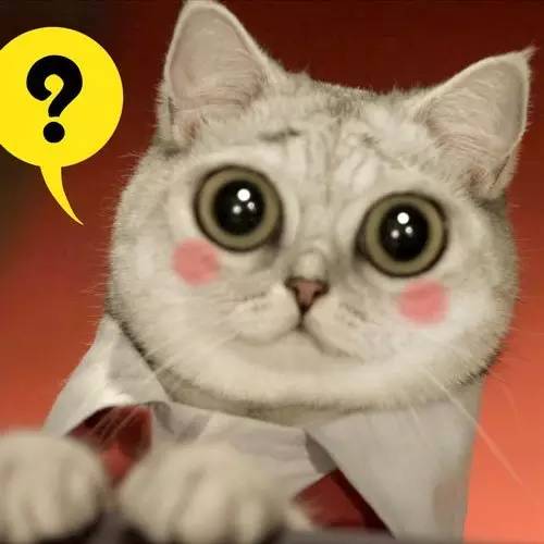 力哥说理财界最大的骗局,力哥说理财简介