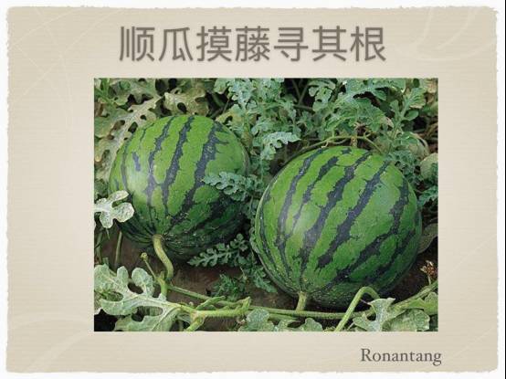 唐一杰瑜伽式呼吸,以觉为师唐一杰完整版