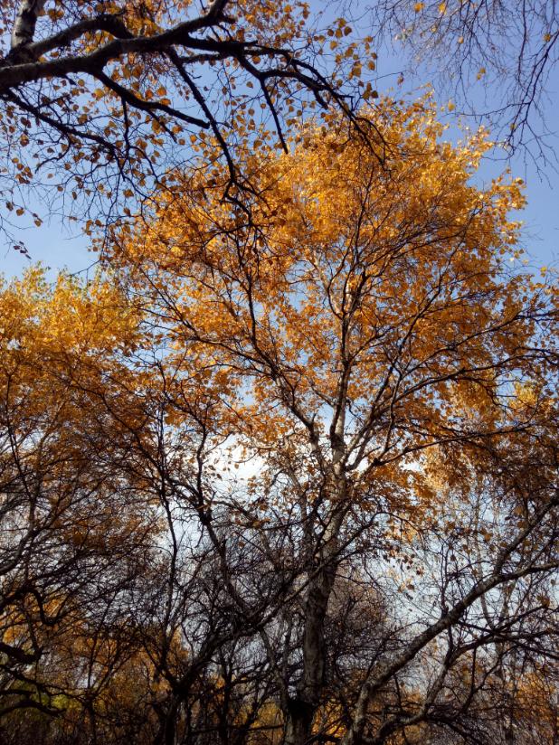 张北天路行,深度还原张北天路