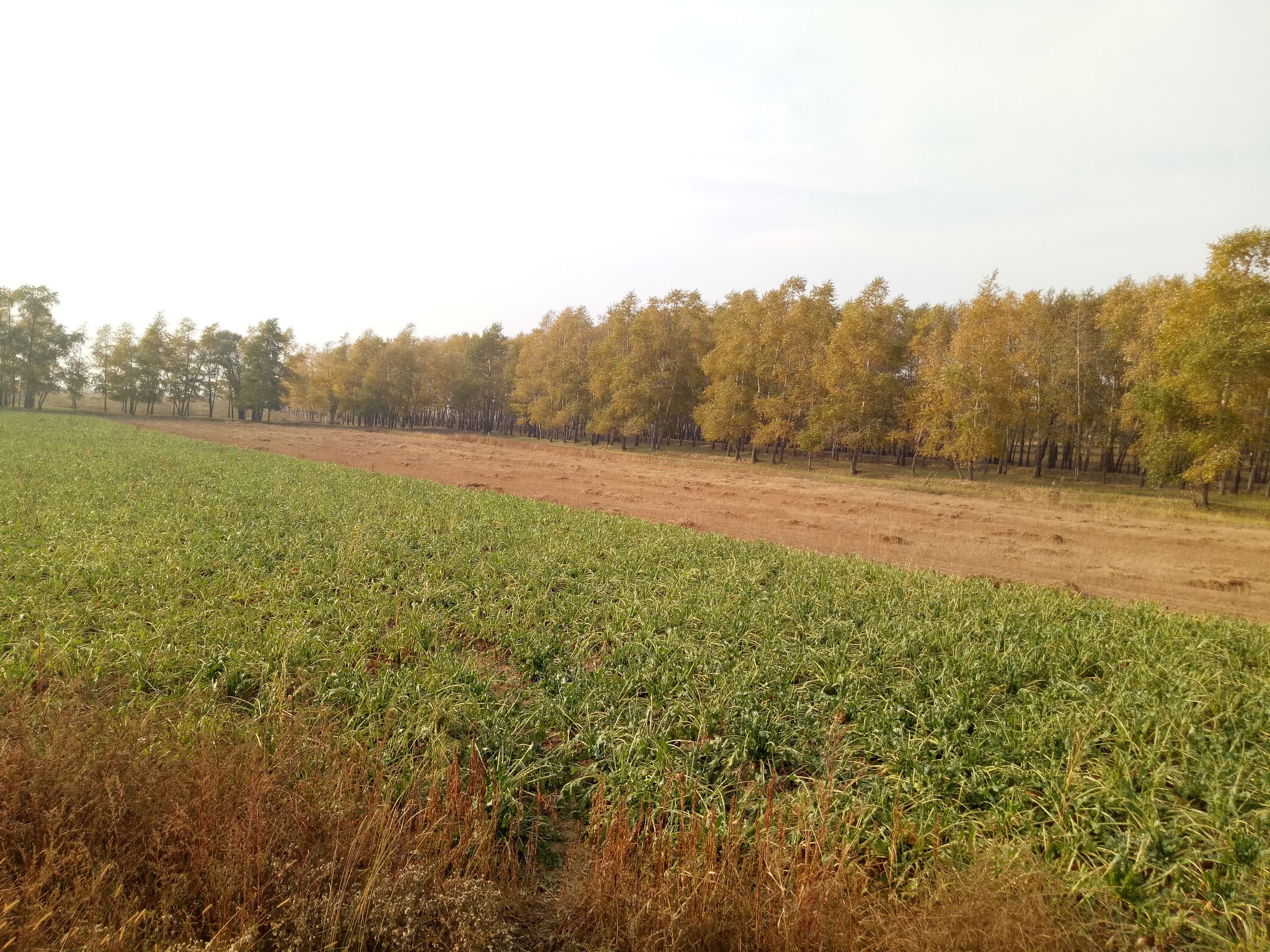 张北天路行,深度还原张北天路