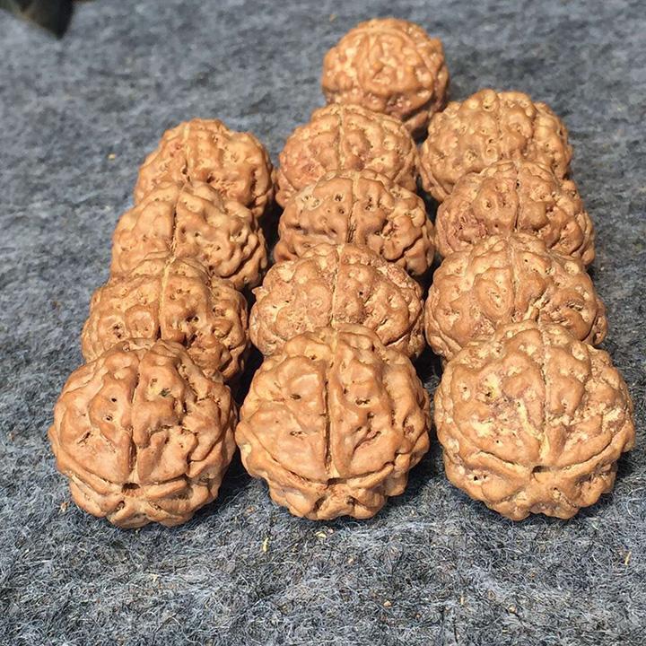 落地红和金刚菩提的区别,落地红能盘出金刚菩提的效果吗