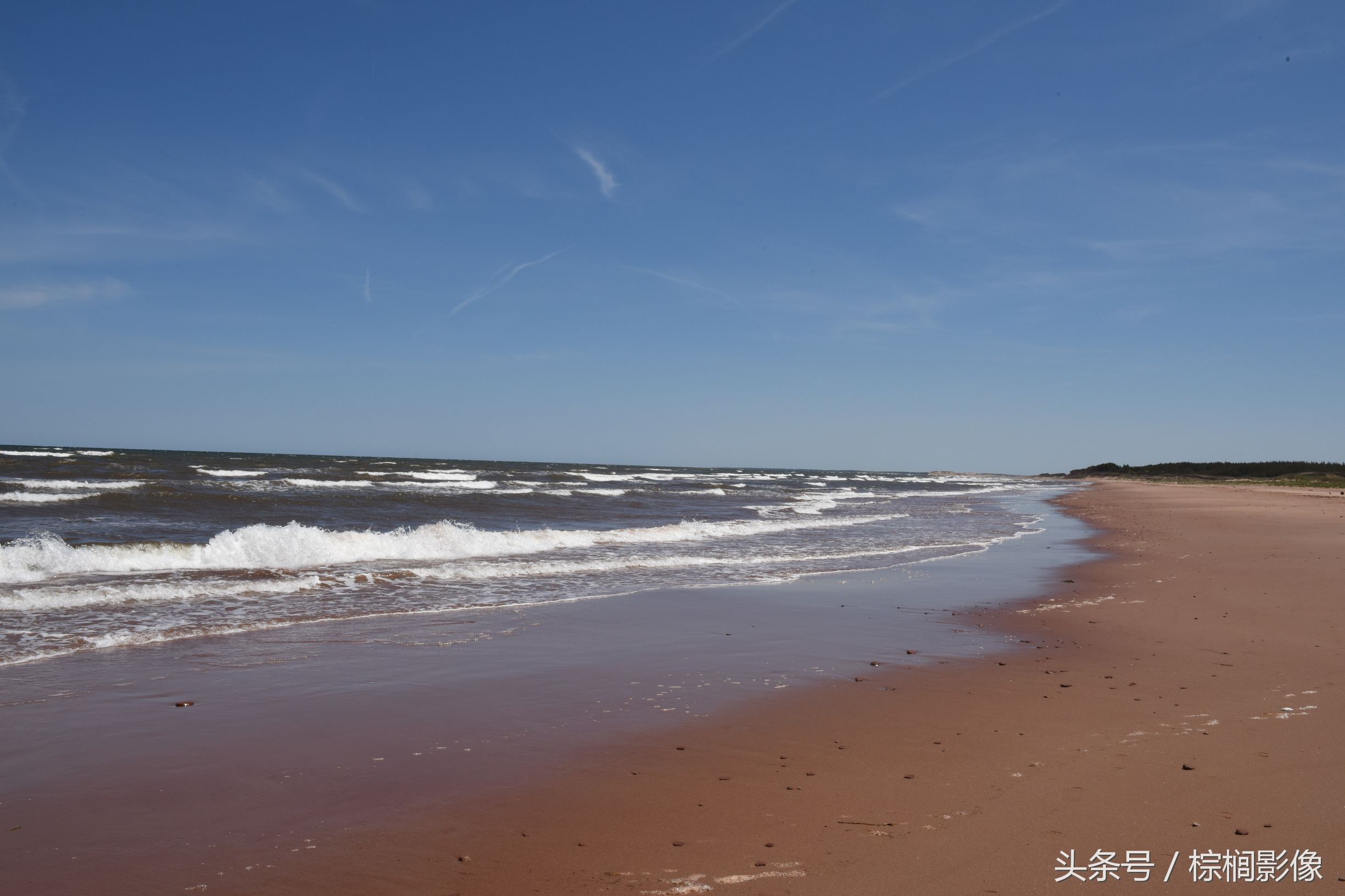鐖卞痉鍗庣帇瀛愬矝鏈夋病鏈夊畨濡繖涓汉,鐖卞痉鍗庣帇瀛愬矝瀹夊Ξ灏忓眿鍦板潃