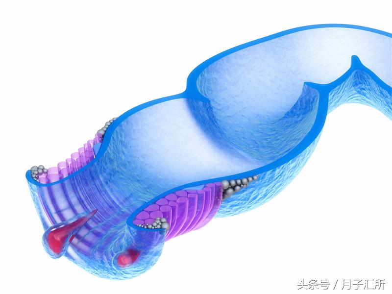 产后便秘把痔疮拉出来了,便秘后肛裂了怎么办