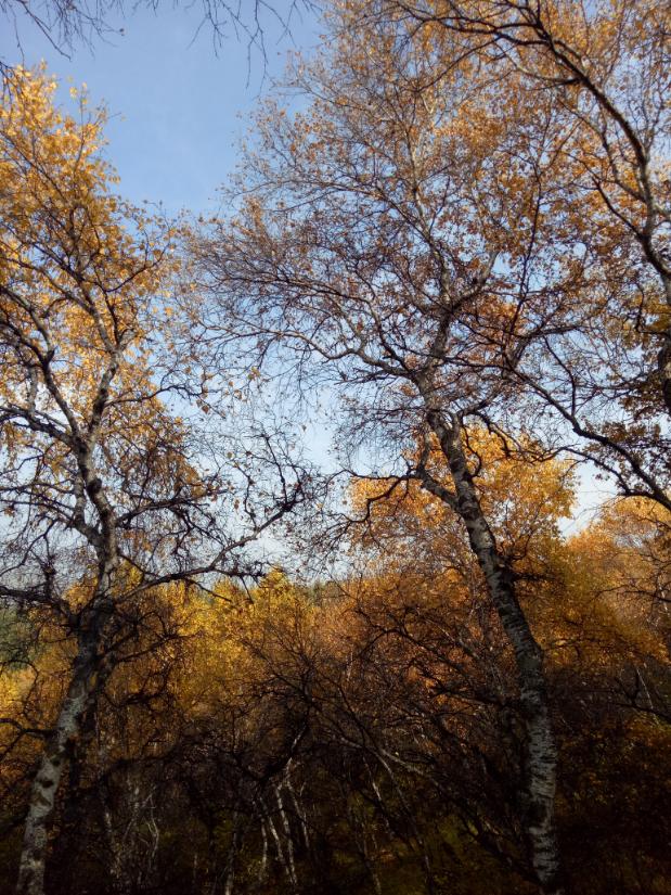 张北天路行,深度还原张北天路