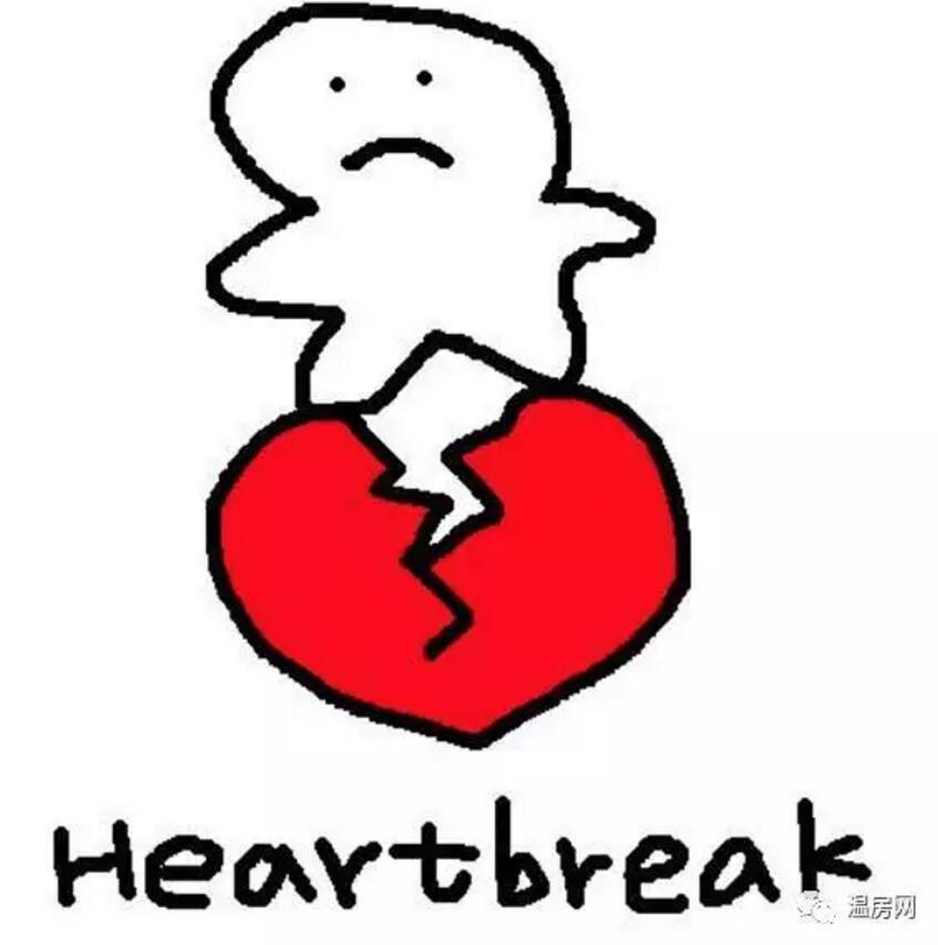 加拿大最新购物新闻,加拿大购物真实经历