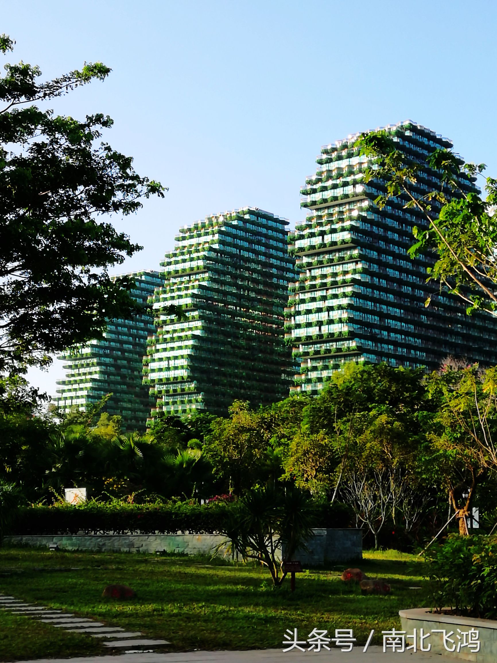 三亚美丽之冠大树公馆,三亚美丽之冠珠宝