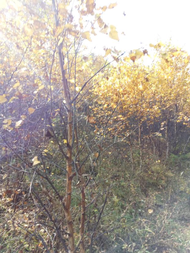 张北天路行,深度还原张北天路