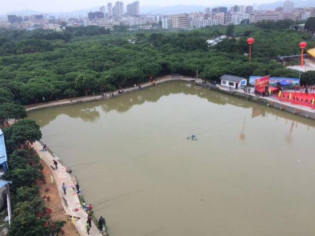 我和新春有个约会视频,我和新年有个约会600字作文