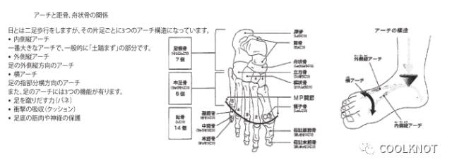 coolknotair鞋带,coolknot鞋带使用方法