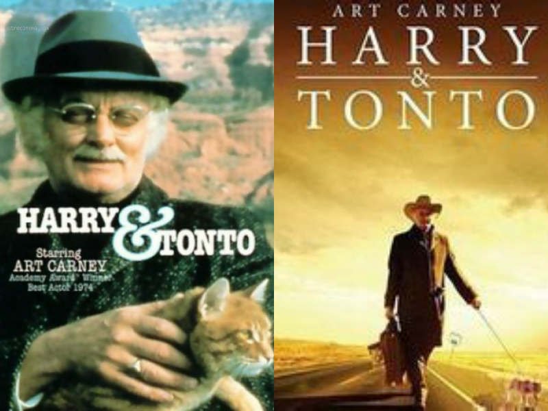 经典感人宠物电影大盘点,十大最暖心的宠物电影