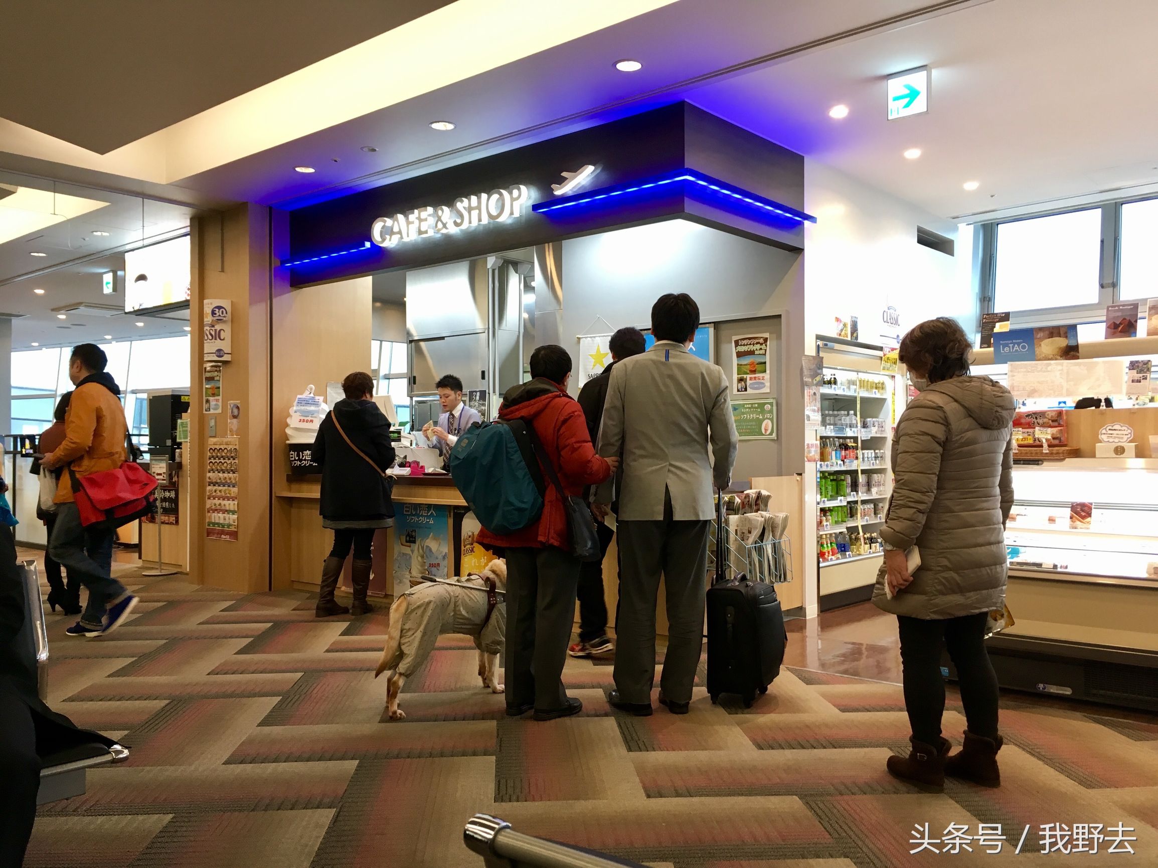 霓虹国之旅,霓虹国初印象