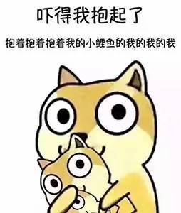 查小欣的爆料,查小欣专访