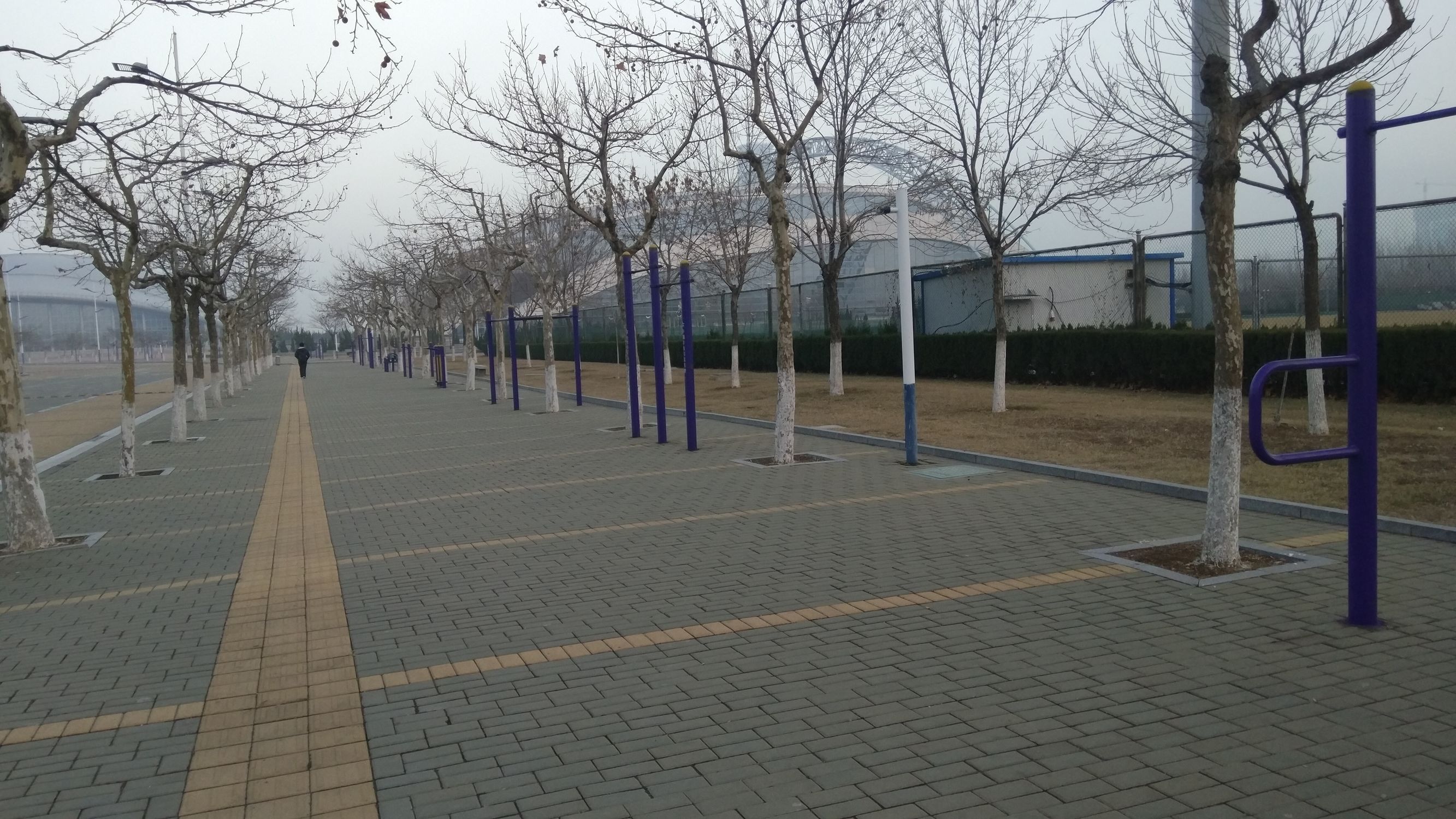 taster手机是什么意思,taster值得买吗