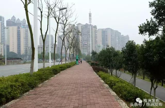 2019株洲改造工程,株洲路改造最新消息