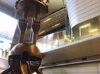 法兰西板鸭,板鸭西班牙语