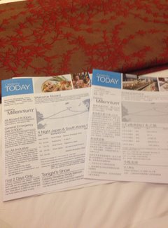 精致邮轮去南极,精致邮轮香港