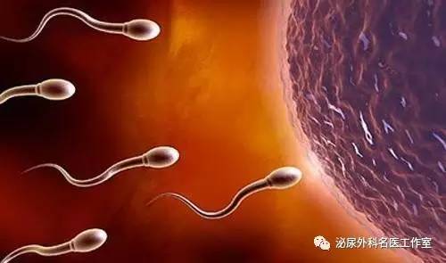 出现一次血精该怎么观察,出现血精用什么药