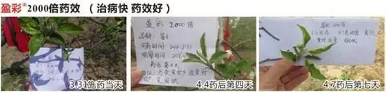 今日优品品牌零食,今日优品个体店