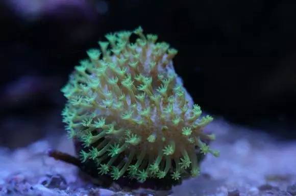 玩的真溜,三千玩出了三万的水平!