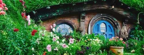 新西兰租车攻略,新西兰租车需要什么资料