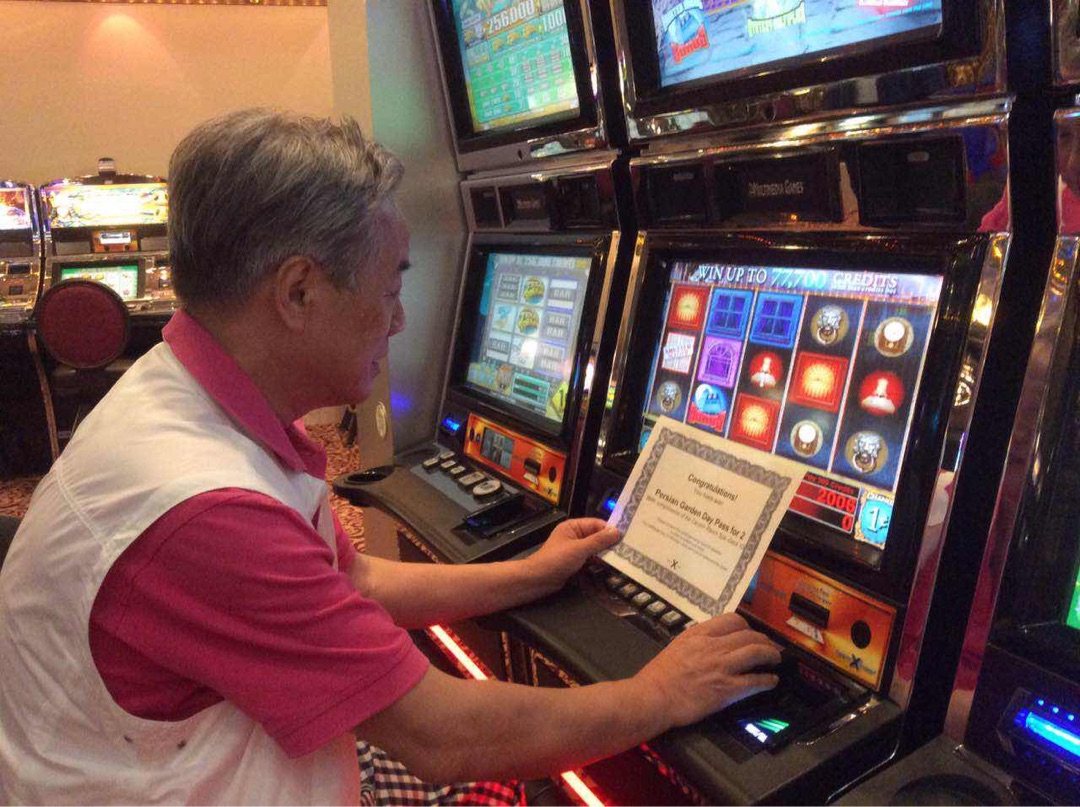 千禧号邮轮阿拉斯加,新世纪号邮轮实用攻略