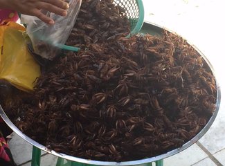 愿上苍保佑吃完饭的人民——缅甸8日传统玩法