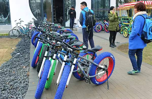 东湖绿道怎么玩最方便,东湖游玩攻略从绿道开始