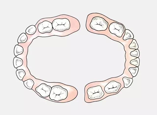 牙科医生必背100个知识,牙科口腔医生必备知识点