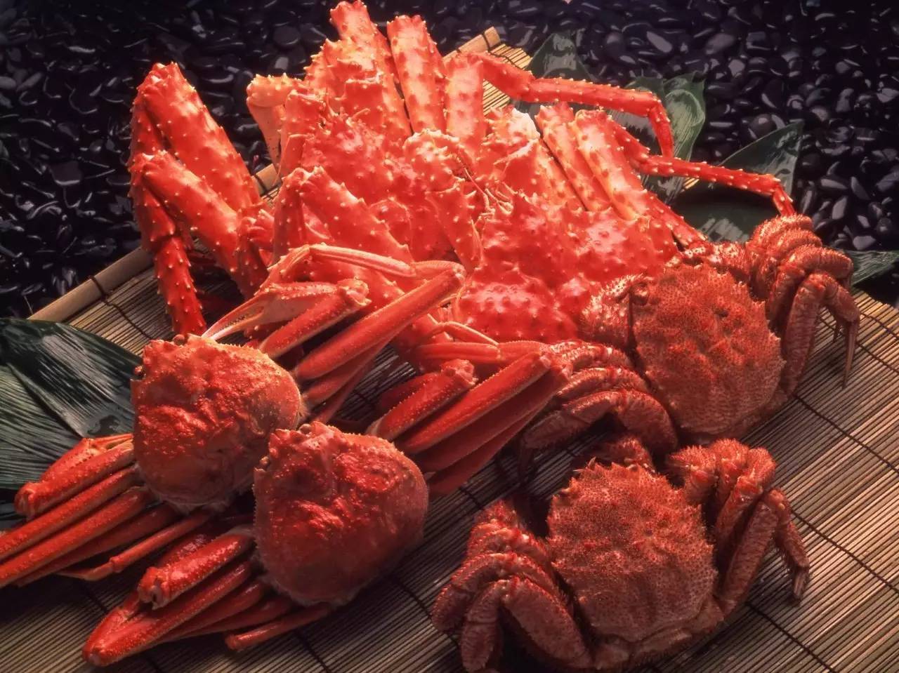 澳加新英美的稀奇海鲜都能在常州这家店吃到！而且元旦连送3天日本松叶蟹！