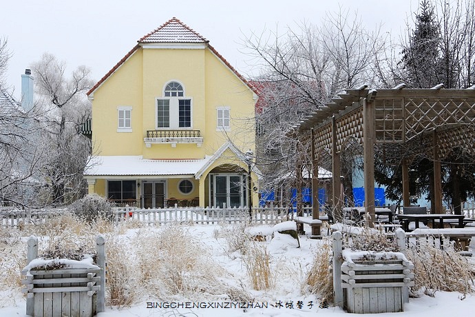 哈尔滨太阳岛的冬天照片,哈尔滨太阳岛的冬天有多美