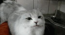 力哥说理财界最大的骗局,力哥说理财简介