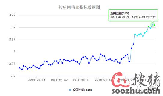 挥别16金猪年迎接17银猪年
