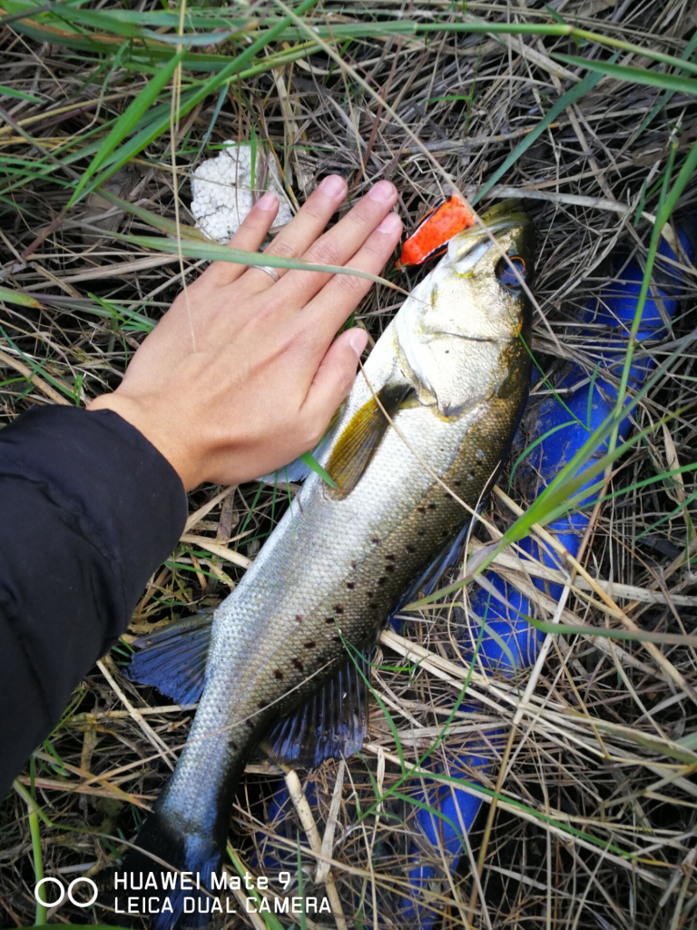 路亚新春出钓视频,路亚钓鱼爆竿搞笑合集