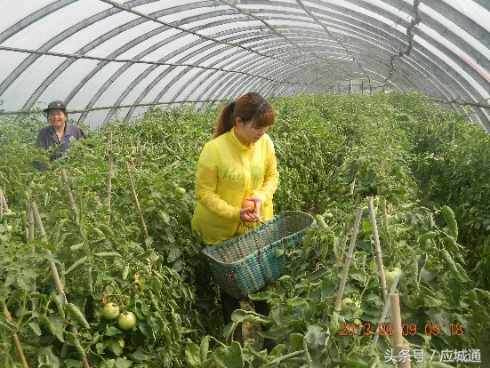 应城春天名苑在哪里,应城春天名苑