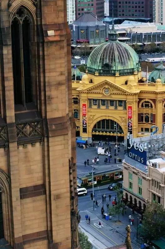 大象与大象拔河,与大象拔河比赛