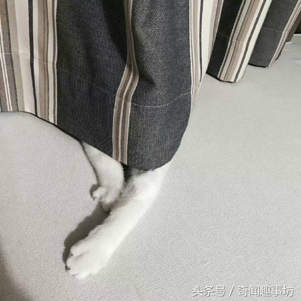 loewe包包怎么辨真假,阿玛尼包包怎么鉴别