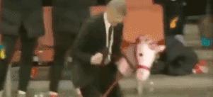 足球进球gif特效图片,足球特效拍同款怎么拍