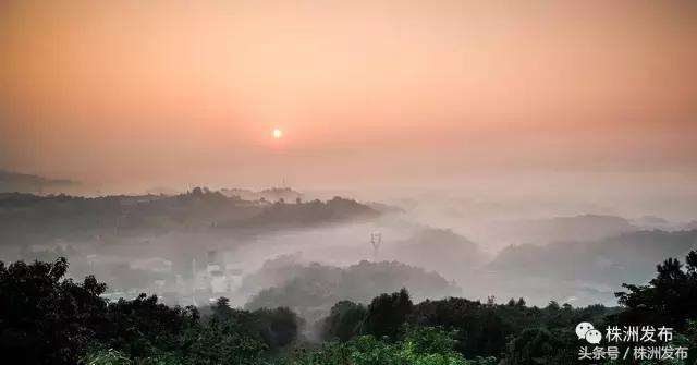 2019株洲改造工程,株洲路改造最新消息