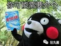 次元死宅黑科技,日本人退出死宅黑科技