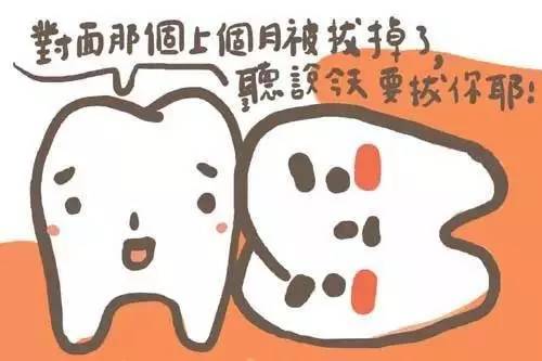 爱“惹事生非的”智齿