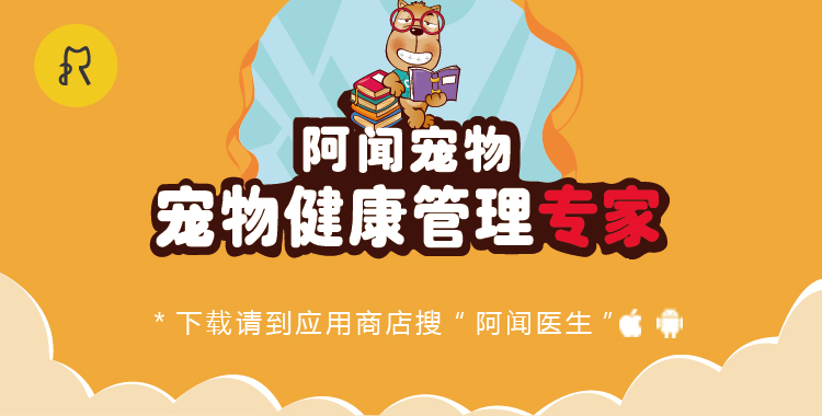 寄养什么宠物便宜,什么寄养中心最好