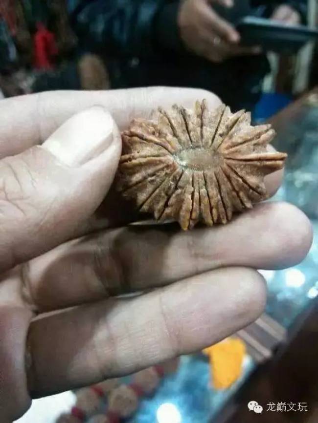 如何辨别金刚落地红,尼泊尔金刚和印尼金刚的区别