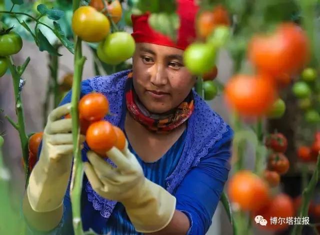 影像记忆资料,影像记忆与群体历史