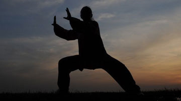 字里藏医txt下载,字里藏医电子版