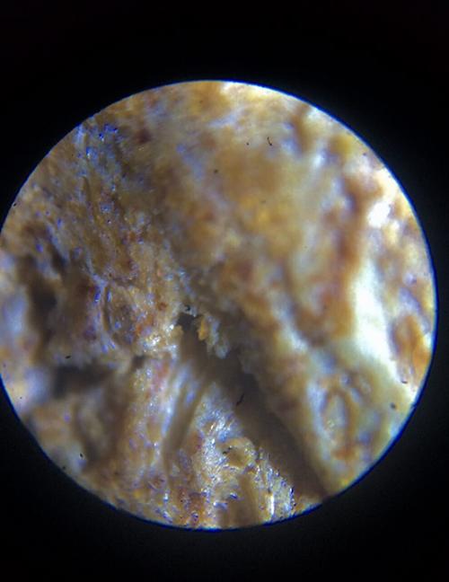 传世最顶级奇楠沉香展示,天然奇楠沉香面世图片