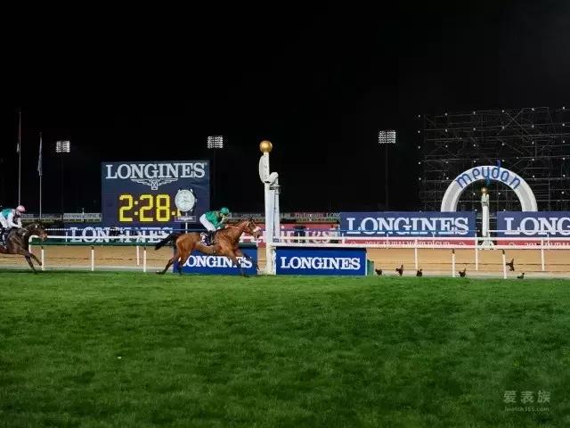 大象与大象拔河,与大象拔河比赛